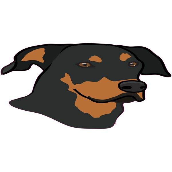Signmission Beauceron Dog Decal, Dog Lover Decor Vinyl Sticker D-24-Beauceron - main